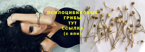 бутират Нея