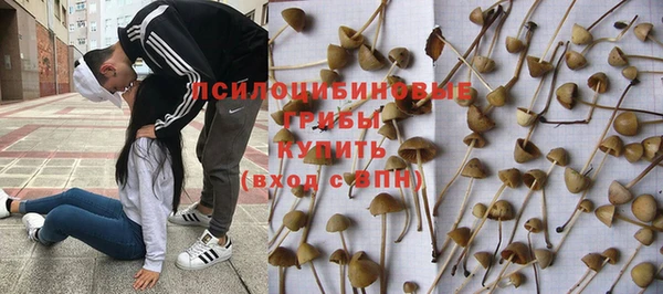бутират Нея
