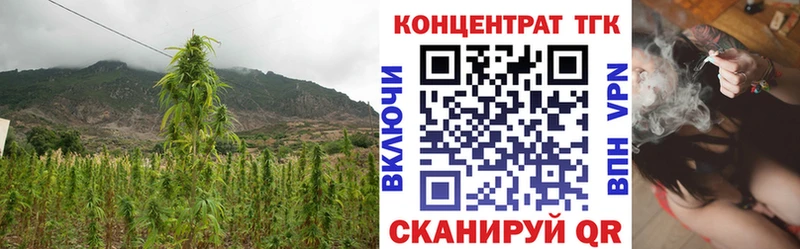 darknet наркотические препараты  Уржум  ТГК Wax  где купить наркоту 