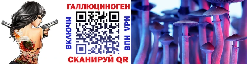 Псилоцибиновые грибы GOLDEN TEACHER  где продают наркотики  Уржум 